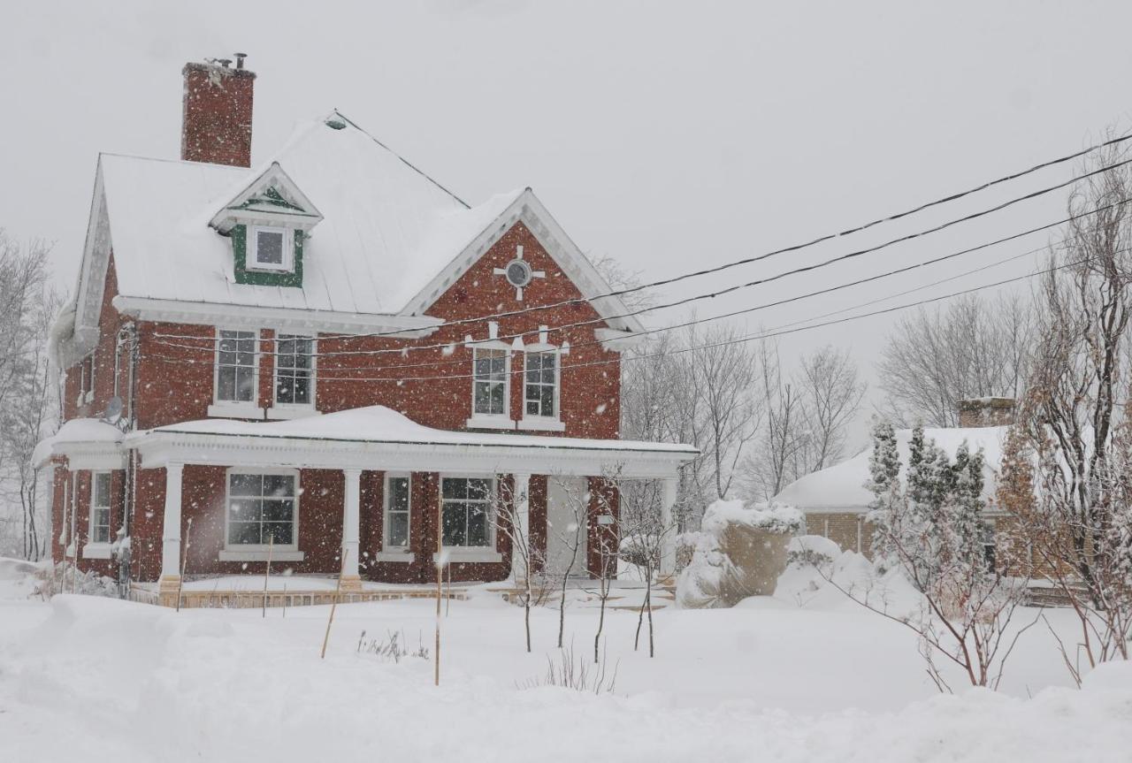 Napier House Daire Campbellton Dış mekan fotoğraf